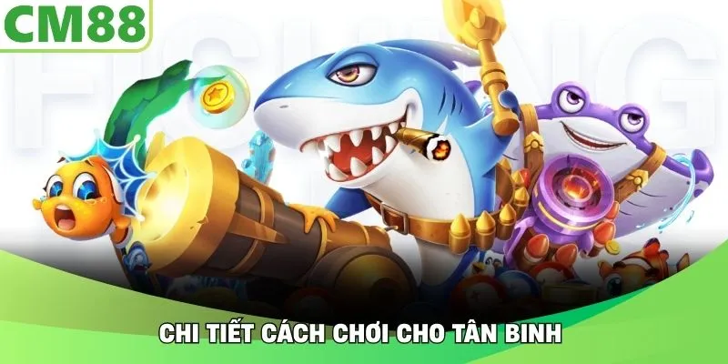 Chi tiết cách chơi cho tân binh