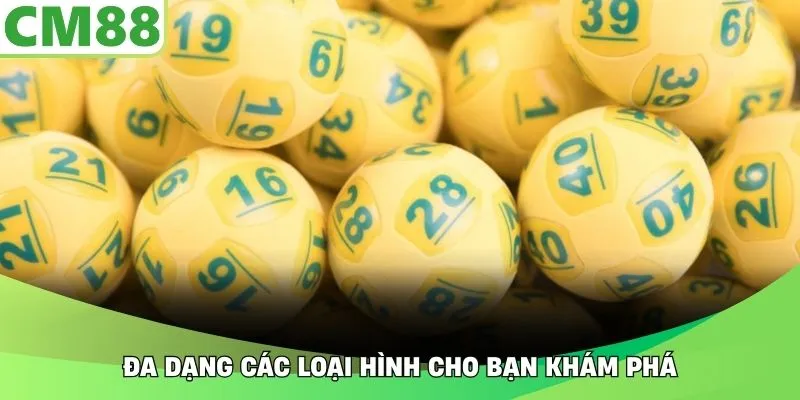 Đa dạng các loại hình cho bạn khám phá