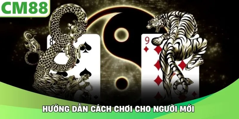 Hướng dẫn cách chơi cho người mới