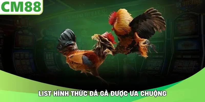 List hình thức đá gà được ưa chuộng