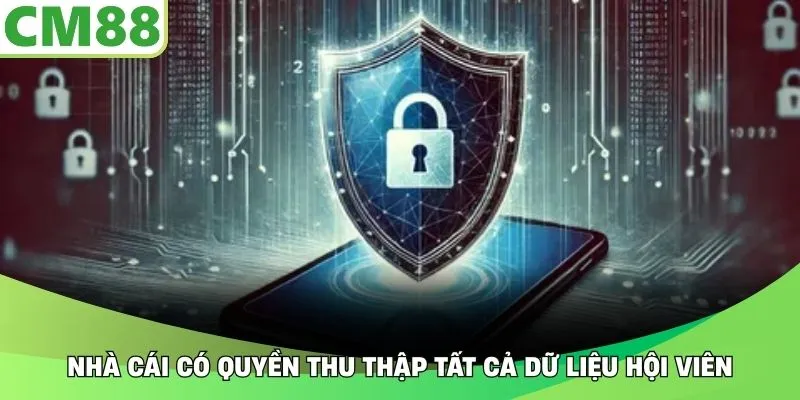Nhà cái có quyền thu thập tất cả dữ liệu hội viên
